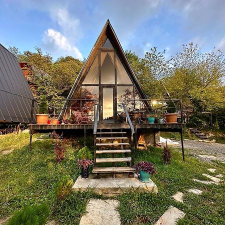 Cottage Sataplia 쿠타이시 외부 사진