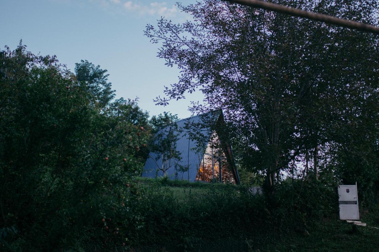 Cottage Sataplia 쿠타이시 외부 사진