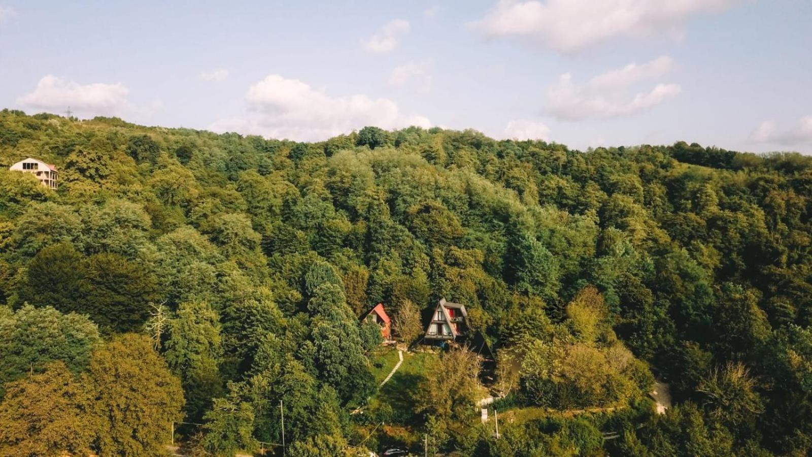Cottage Sataplia 쿠타이시 외부 사진